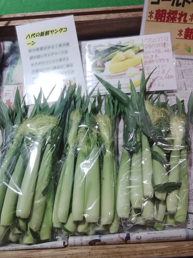 Image for the Tweet beginning: ヤングコーンがたくさん入荷中(^^)
