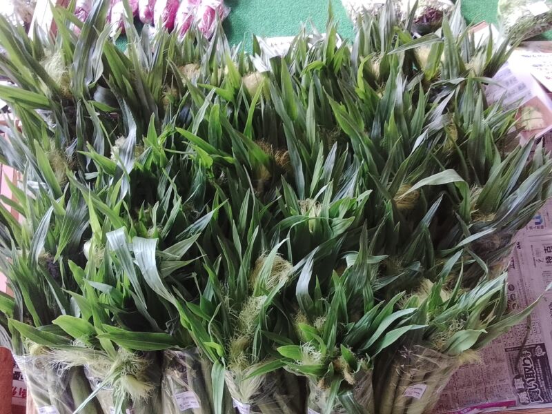 Image for the Tweet beginning: 朝からヤングコーンも入荷中( ;∀;)