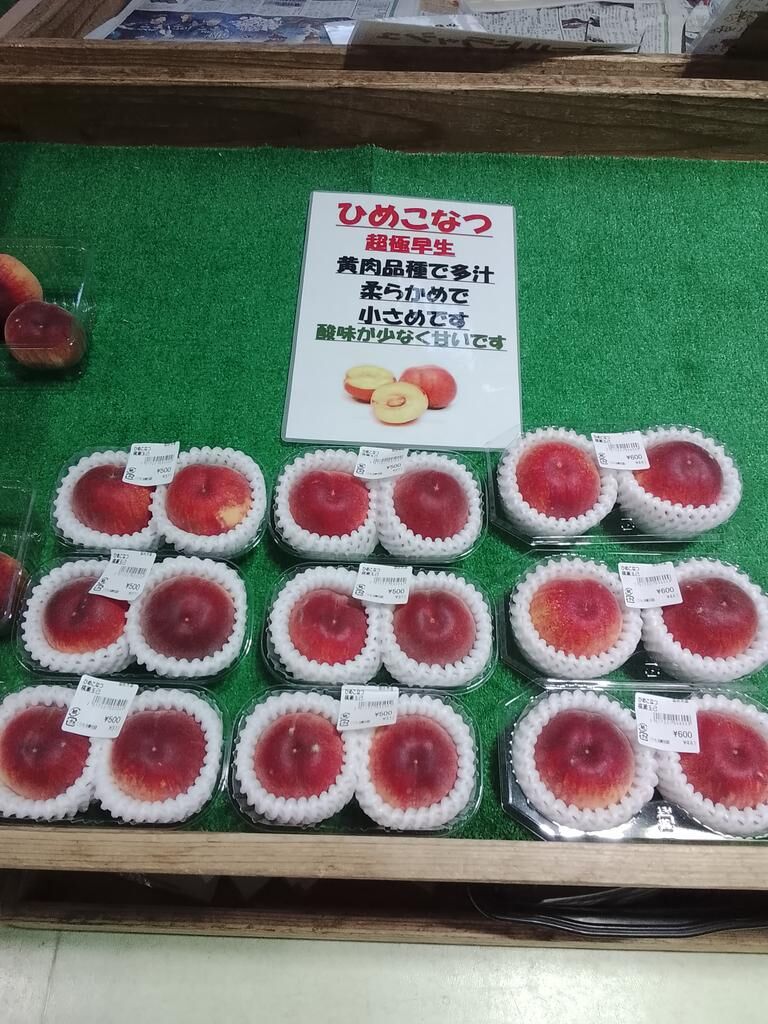 Image for the Tweet beginning: 超極早生🍑ひめこなつ😃いよいよ桃がスタートです!