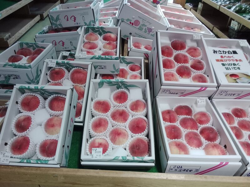 Image for the Tweet beginning: 今日の桃入荷状況🍑夢桃香、夢みずき、夢しずく、白鳳、みさか白鳳、あかつきが入荷中(^^)
