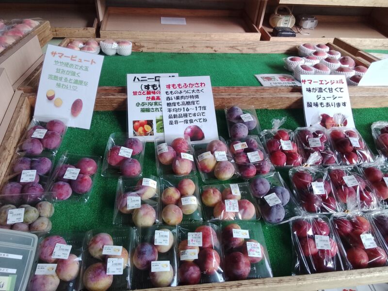 Image for the Tweet beginning: すもも入荷状況🍑サマービュート、サマーエンジェル、ハニーローザ、ふかさわ、ソルダム、貴陽が入荷中(^^)