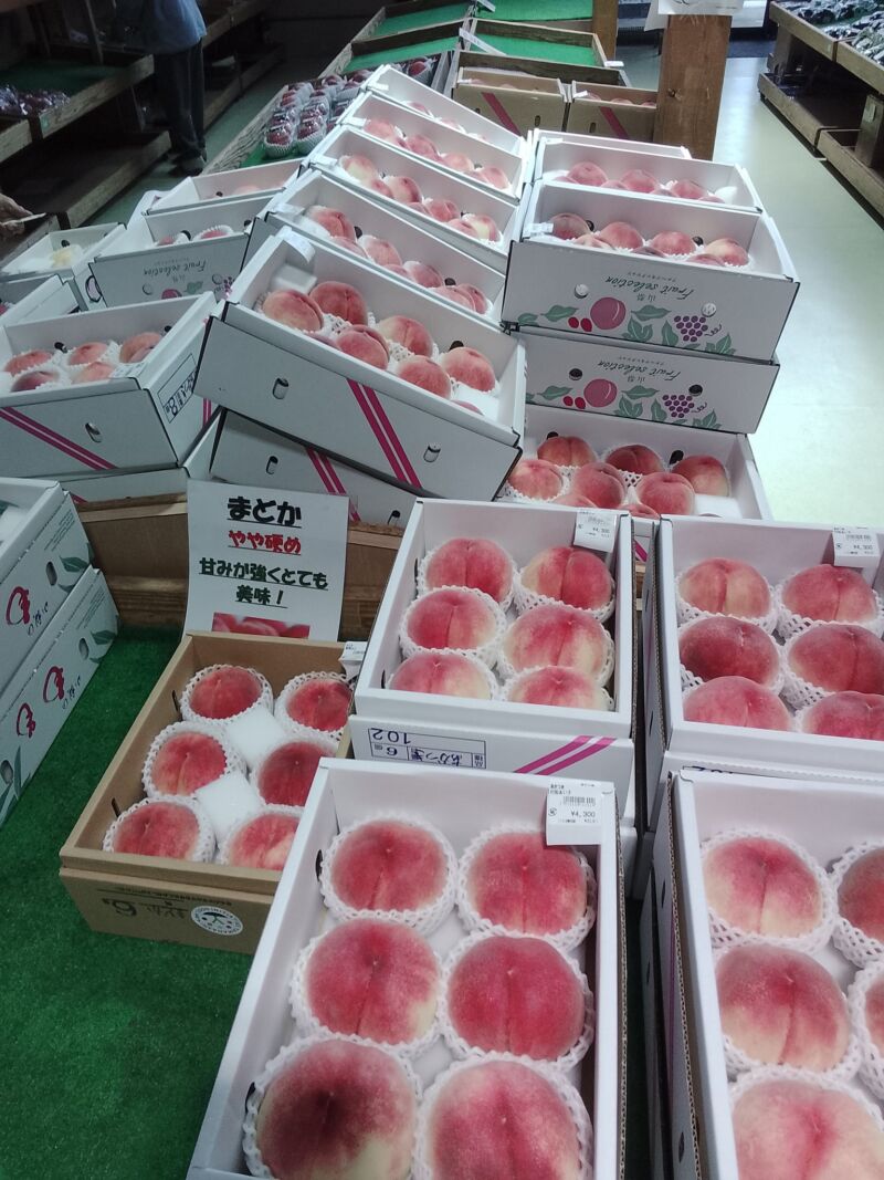 Image for the Tweet beginning: 本日の桃入荷状況🍑白鳳、浅間白桃、なつっこ、夢みずき、あかつき、夏の陽、まどかが入荷中(^^)