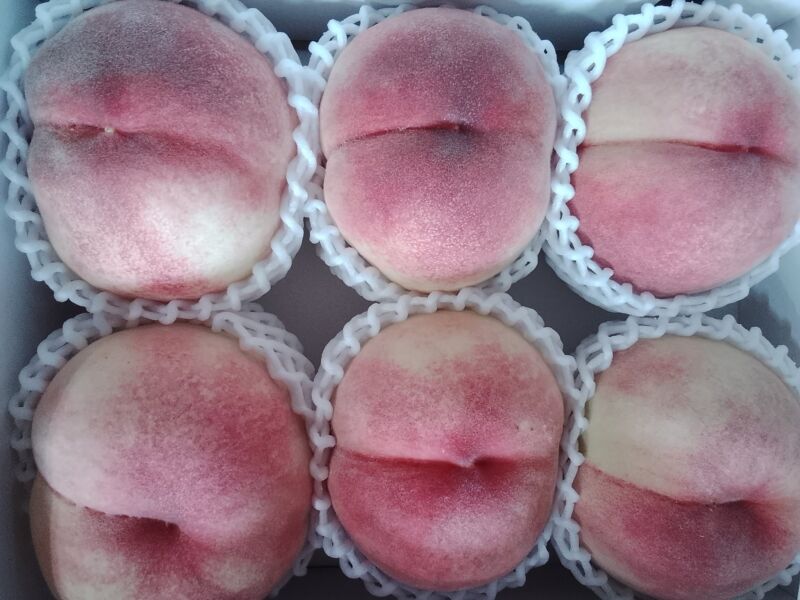 Image for the Tweet beginning: 本日の桃入荷状況🍑夢みずき、なつっこ、白鳳、あかつき、まどか、あさやけが入荷中(^^)