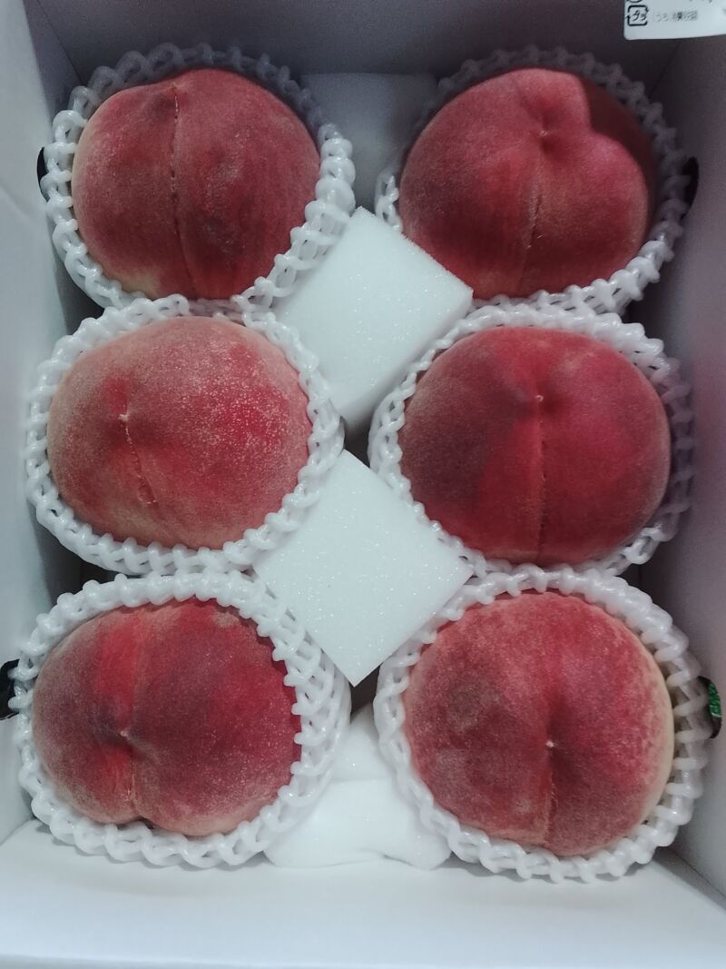 Image for the Tweet beginning: 本日の桃入荷状況🍑なつっこ、浅間白桃、あかつき、まどか、黄金桃、白鳳が入荷中(^^)