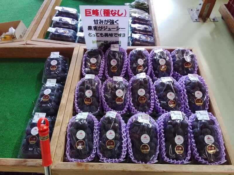 Image for the Tweet beginning: ぶどうもたくさん入荷中(^^)