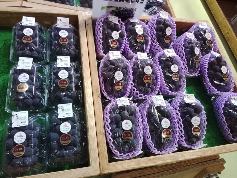 Image for the Tweet beginning: ぶどうは紫玉、巨峰が入荷中(^^)