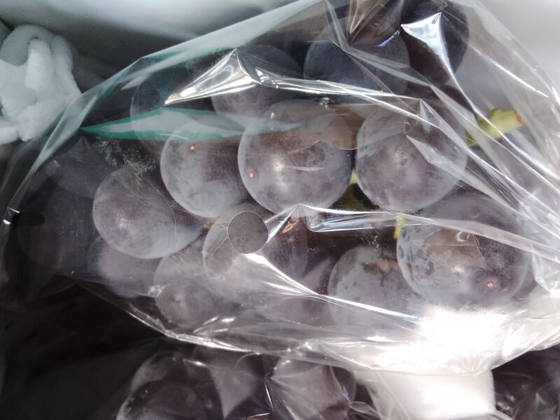 Image for the Tweet beginning: 本日のぶどう入荷状況🍇巨峰、藤稔、デラウェアが入荷中(^^)