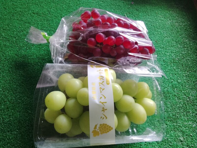 Image for the Tweet beginning: 本日のぶどう入荷状況🍇シャインマスカット、あづましずく、紅伊豆、デラウェア、藤稔、巨峰が入荷中(^^)