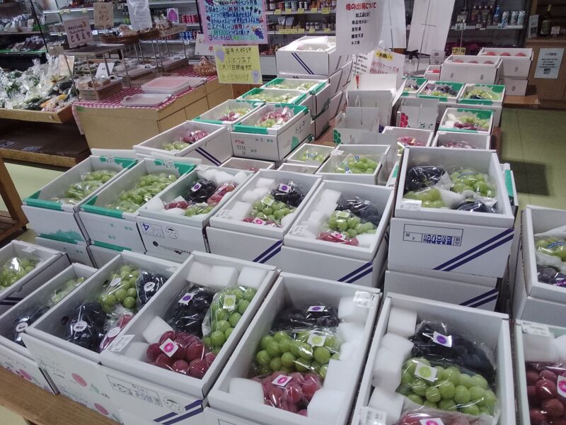 Image for the Tweet beginning: おはようございます🍇贈答用ぶどうはいかがですか😉