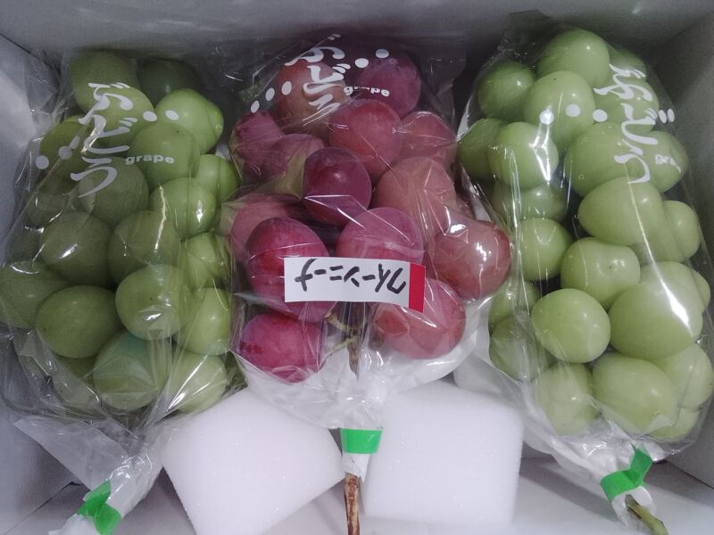 Image for the Tweet beginning: おはようございます😊桃にぶどうに野菜にたくさん入荷中🥰
