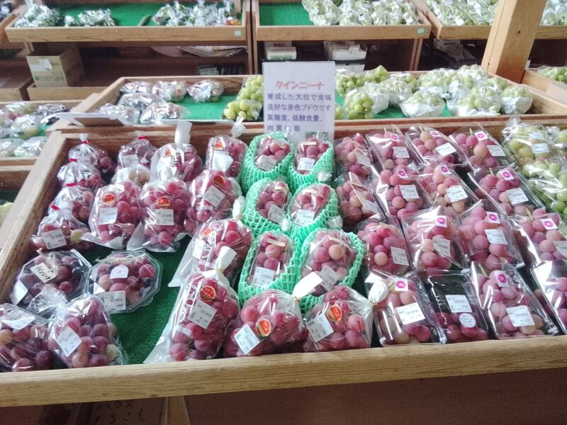 Image for the Tweet beginning: ぶどうバイキング笑?当店の自慢は取り扱いの品種の多さ🥰迷う😅でもそれが楽しみ🥰