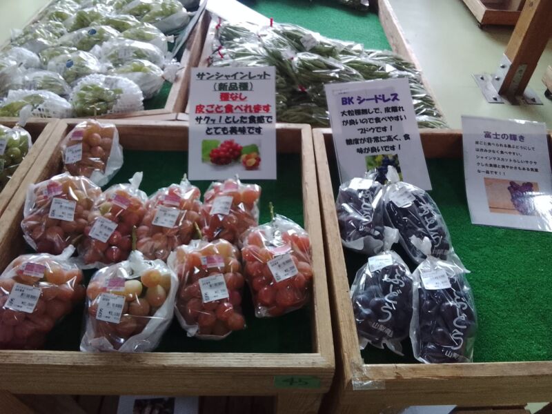 Image for the Tweet beginning: 本日のぶどう入荷状況🍇サンシャインレッド(たくさん入荷中)、シャインマスカット、藤稔、ピオーネ、巨峰、マスカサーティーン、バイオレットキング、クイーンニーナ、BKシードレスが入荷中🥰