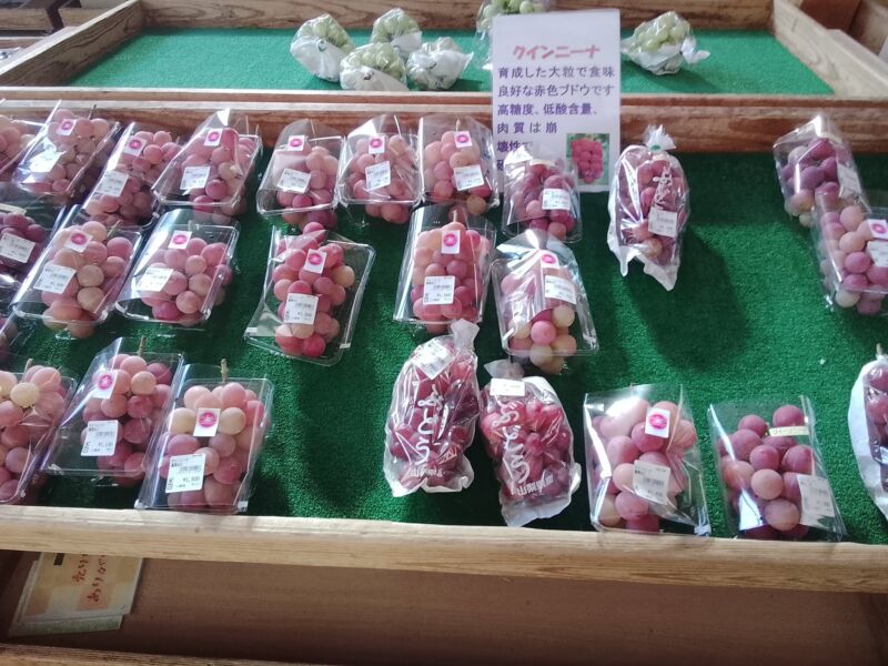 Image for the Tweet beginning: 本日のぶどう🍇入荷状況🍇サンシャインレッド、シャインマスカット、ピオーネ、クイーンニーナ、ネオマスカット、紅金沢、ヌーベルローズ、富士の輝き、秋鈴、BKシードレスが入荷中🥰