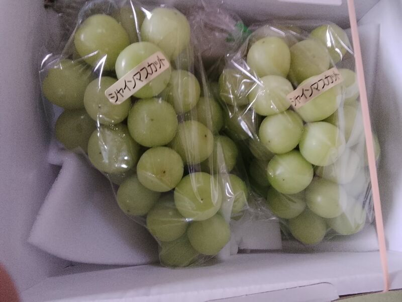 Image for the Tweet beginning: ぶどう🍇もまだまだ🥰