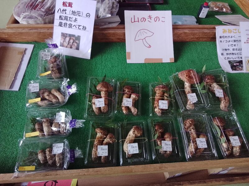 Image for the Tweet beginning: 松茸入荷しました☺️国産です😊