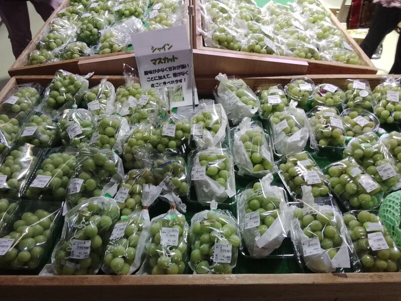 Image for the Tweet beginning: 本日のぶどう🍇入荷状況🍇サンシャインレッド、シャインマスカット、ピオーネ、クイーンニーナ、スカーレット、紅金沢、秋鈴、富士の輝き、ヌーベルローズが入荷中🥰