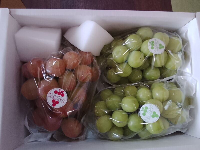 Image for the Tweet beginning: おはようございます😊今日も晴天☺️晴れがこんなに嬉しいのは私だけ?ぶどう🍇も喜んでるかな🥰今日もぶどう🍇秋野菜を中心に入荷中♥