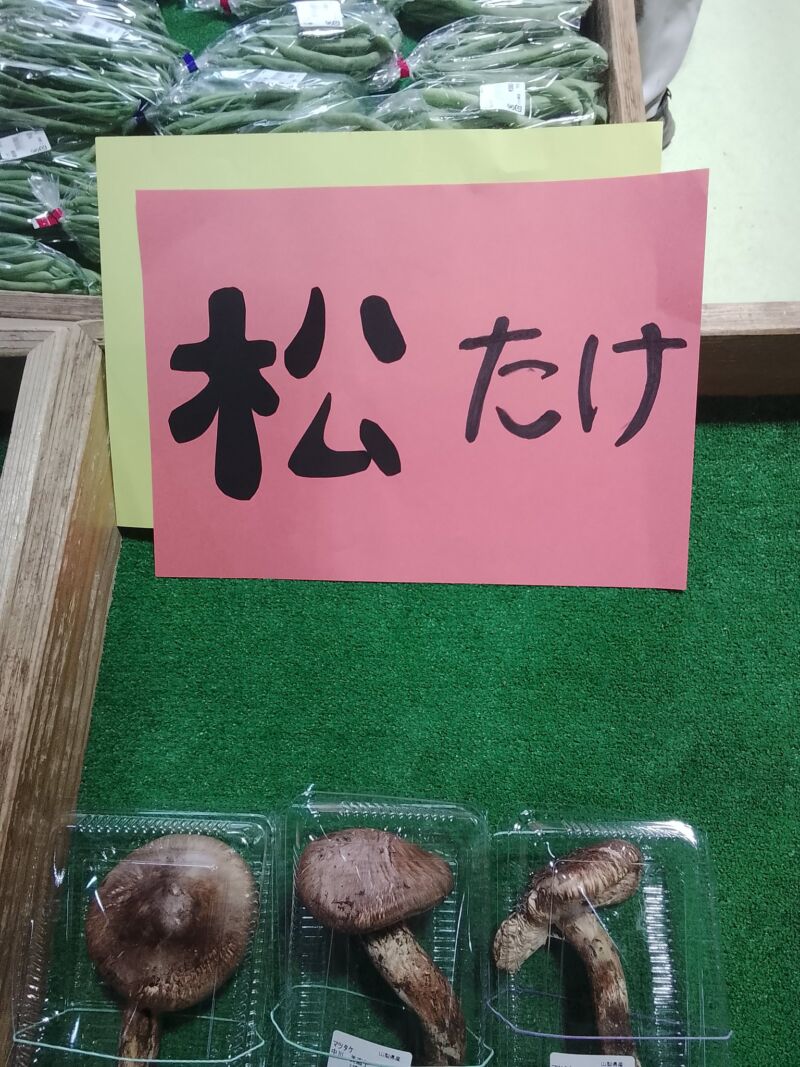 Image for the Tweet beginning: 希少な国産🥹