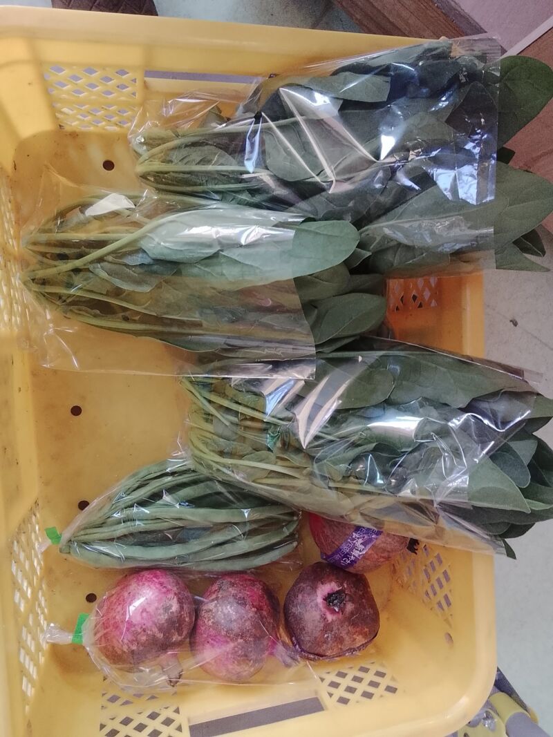 Image for the Tweet beginning: おはようございます😊今朝も冷えました💦寒くなって来ると野菜の出番( ;∀;)