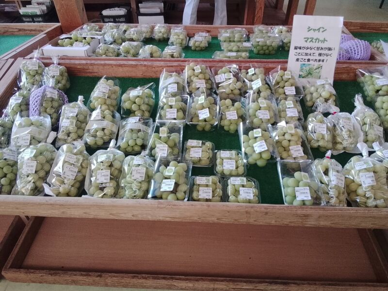 Image for the Tweet beginning: まだまだぶどう🍇入荷中🥰