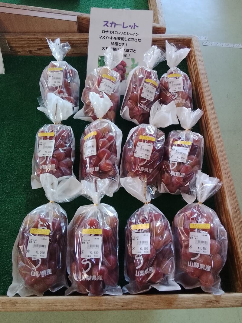Image for the Tweet beginning: 勿論まだまだぶどうも入荷中🥰